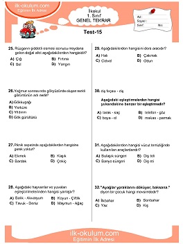 ilkokul 1. Sınıf Genel Tekrar Testleri 